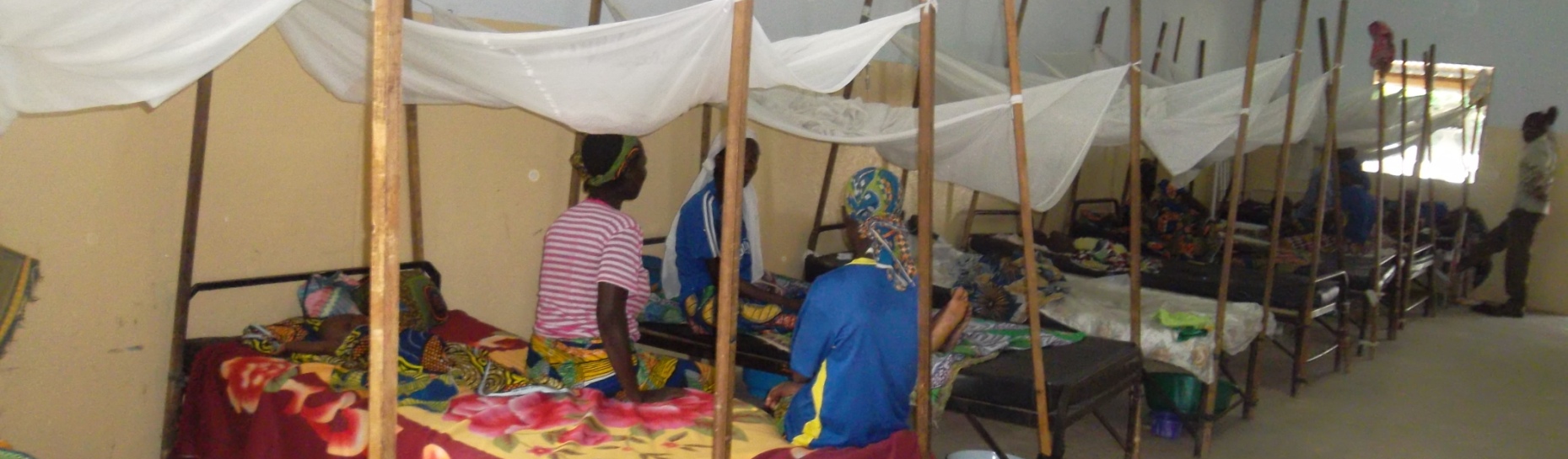 Fondation Christian Aurenche - Paludisme