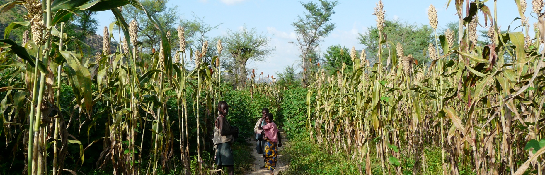 Fondation Christian Aurenche - Projet agriculture